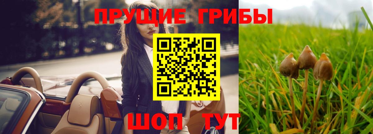 Псилоцибиновые грибы Magic Shrooms  цена наркотик  Ачхой-Мартан  Вход с VPN 